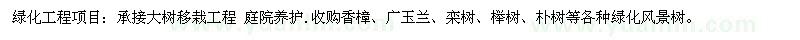 求购香樟、广玉兰、栾树、榉树、朴树等各种绿化风景树