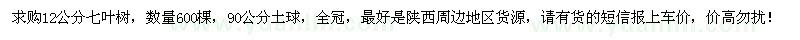 求购12公分七叶树600棵 