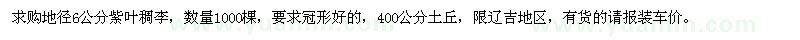 求购地径6公分紫叶稠李