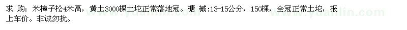 求购米樟子松4米高 榶槭 13-15公分