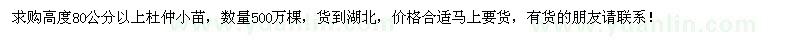 求购高度80公分以上杜仲小苗500万棵