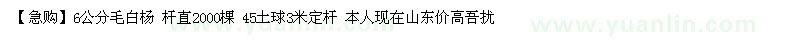 求购6公分毛白杨 杆直2000棵