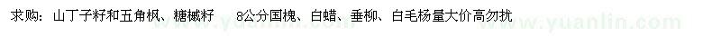 求购山丁子籽和五角枫、糖槭籽、国槐、白蜡、垂柳、白毛杨