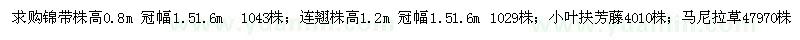 求购锦带、连翘、小叶扶芳藤、马尼拉草