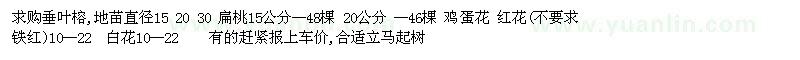 求购垂叶榕、扁桃、鸡蛋花、红花、白花