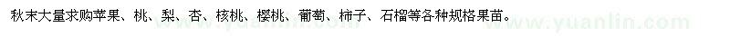 求购苹果、桃、梨、杏、核桃等各种果苗