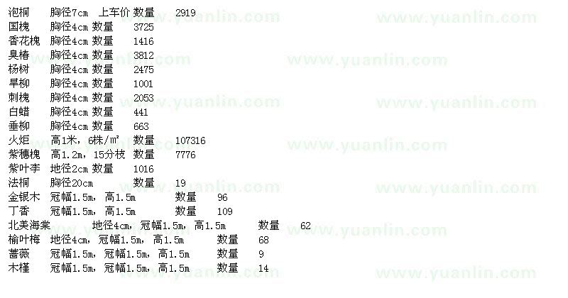 求购泡桐、国槐、香花槐、臭椿的苗木