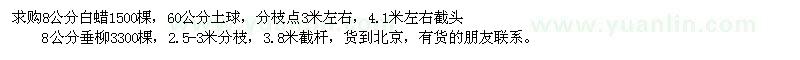 求购白蜡1500棵、垂柳3300棵