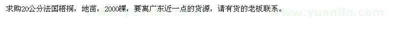 求购20公分法国梧桐 