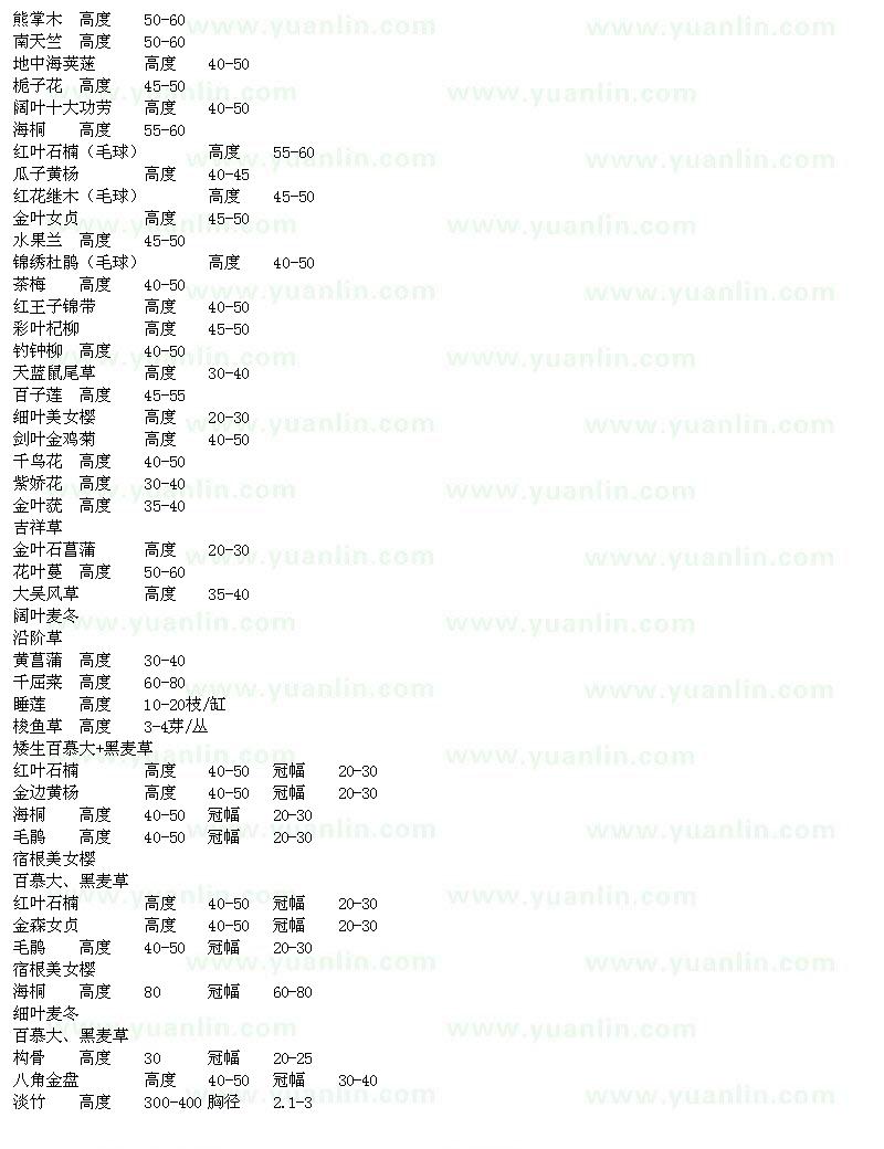 求购熊掌木、南天竺、栀子花、海桐等苗木