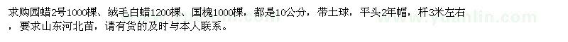 求购园蜡2号、绒毛白蜡、国槐