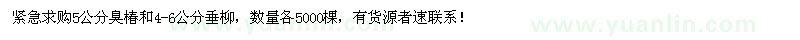 求购5公分臭椿、4-6公分垂柳各5000棵