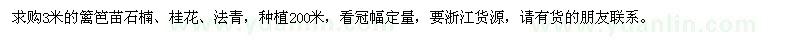 求购3米的篱笆苗石楠、桂花、法青