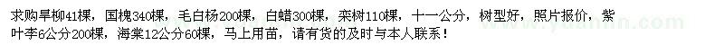 求购旱柳、国槐、毛白杨、白蜡、栾树、紫叶李、海棠