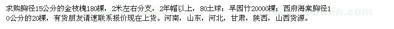 求购金枝槐、早园竹、西府海棠