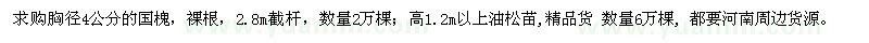 求购4公分国槐、高1.2米油松苗