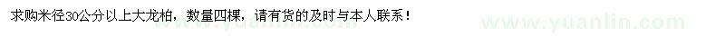 求购米径30公分以上大龙柏四棵