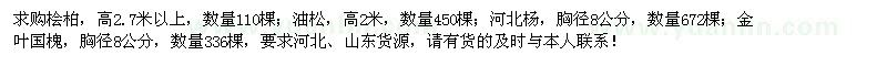 求购桧柏、油松、河北杨、金叶国槐