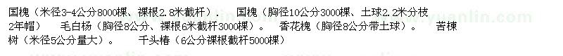 求购香花槐、国槐、千头椿、苦楝树