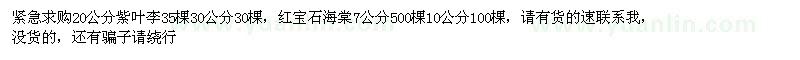 求购20公分紫叶李35棵30公分30棵，红宝石海棠