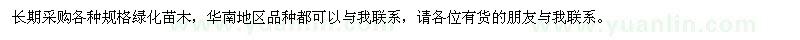 求购各种规格绿化苗木：秋枫、樟树等