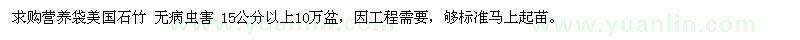 求购营养袋美国石竹 无病虫害 15公分以上10万盆