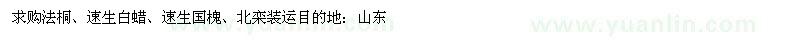 求购法桐、速生白蜡、速生国槐、北栾