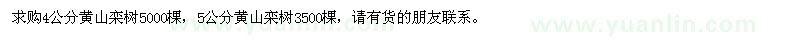 求购4公分、5公分黄山栾树
