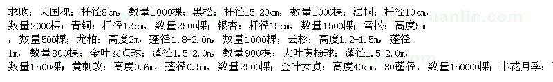 求购大国槐、黑松、法桐等大批绿化苗木