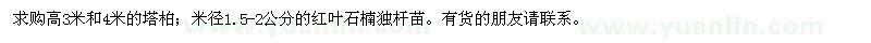 求购塔柏、红叶石楠独杆苗