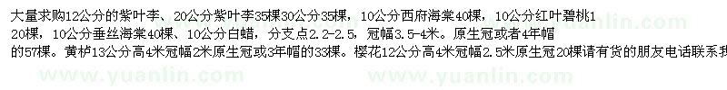 求购12公分的紫叶李、20公分紫叶李、10公分西府海棠