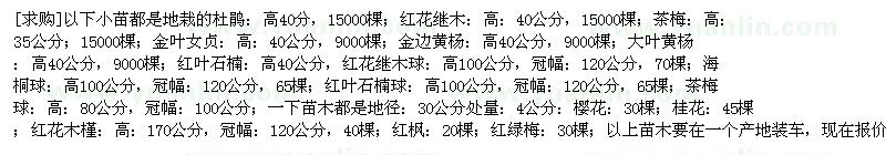 求购杜鹃 茶梅 金叶女贞 金边黄杨 大叶黄杨 红叶石楠 海桐球