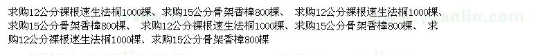 求购12公分裸根速生法桐