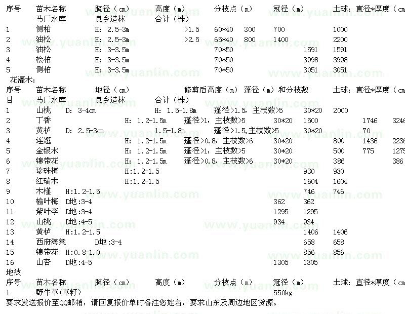 求购侧柏、油松、桧柏、丁香等苗木