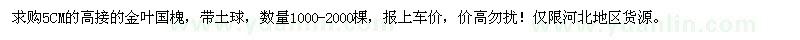 求购5CM的高接的金叶国槐1000-2000棵