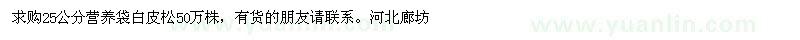 求购25公分营养袋白皮松50万株 