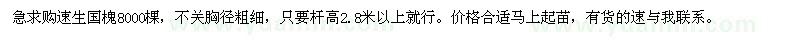 求购速生国槐杆高2.8米以上