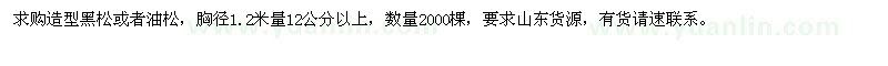 求购12公分以上造型黑松或者油松2000棵