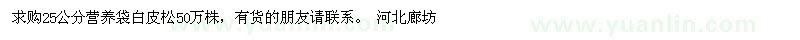 求购25公分营养袋白皮松50万株