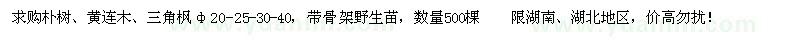 求购朴树、黄连木、三角枫骨架野生苗φ20-25-30-40