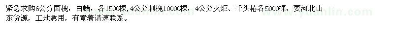 求购6公分国槐、白蜡，4公分刺槐、火炬、千头椿