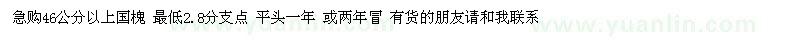 求购46公分以上国槐 最低2.8分支点