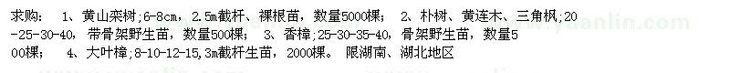 求购黄山栾树 朴树、黄连木、三角枫 大叶樟