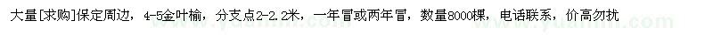 求购大量保定周边，4-5金叶榆 数量8000棵