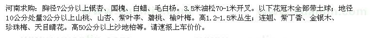 求购3.5米油松3公分以上山桃、山杏、紫叶李、碧桃、榆叶梅