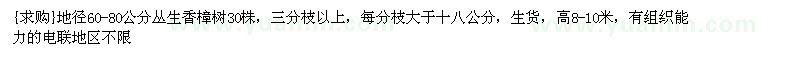 求购地径60-80公分丛生香樟树30株