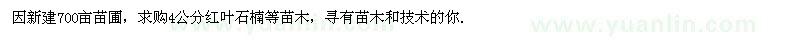 求购4公分红叶石楠等苗木