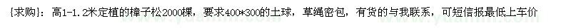 求购高1-1.2米定植的樟子松2000棵