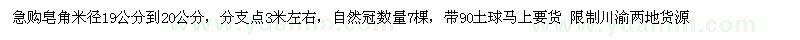 求购皂角米径19公分到20公分，分支点3米左右