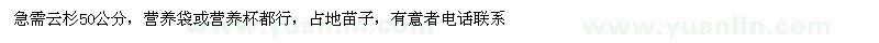 求购云杉50公分，营养袋或营养杯都行，占地苗子